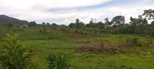 3.5 Square Miles At Luwero On Sale
