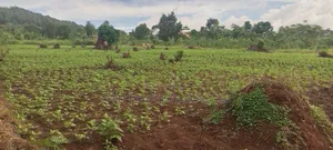 3.5 Square Miles At Luwero On Sale