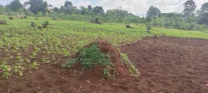 3.5 Square Miles At Luwero On Sale