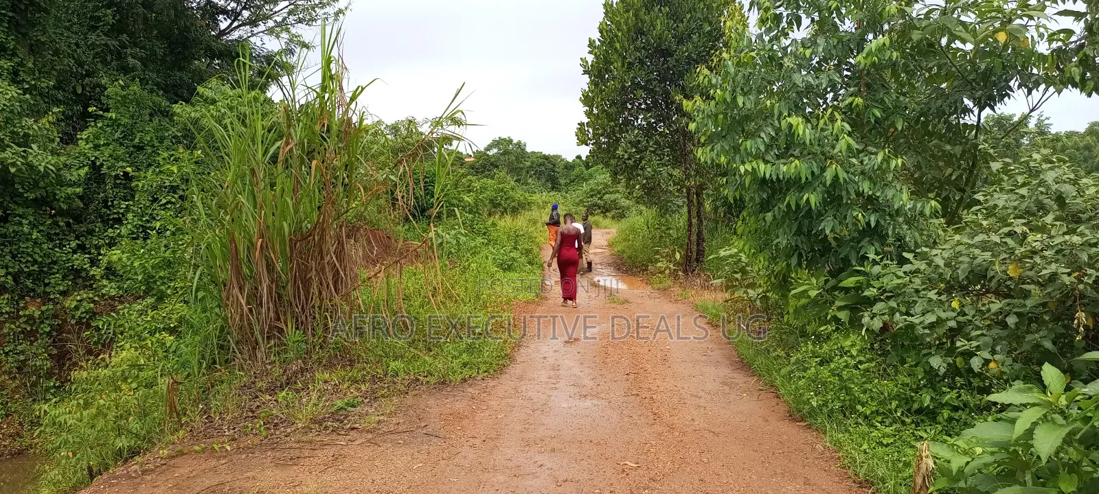 3.5 Square Miles At Luwero On Sale