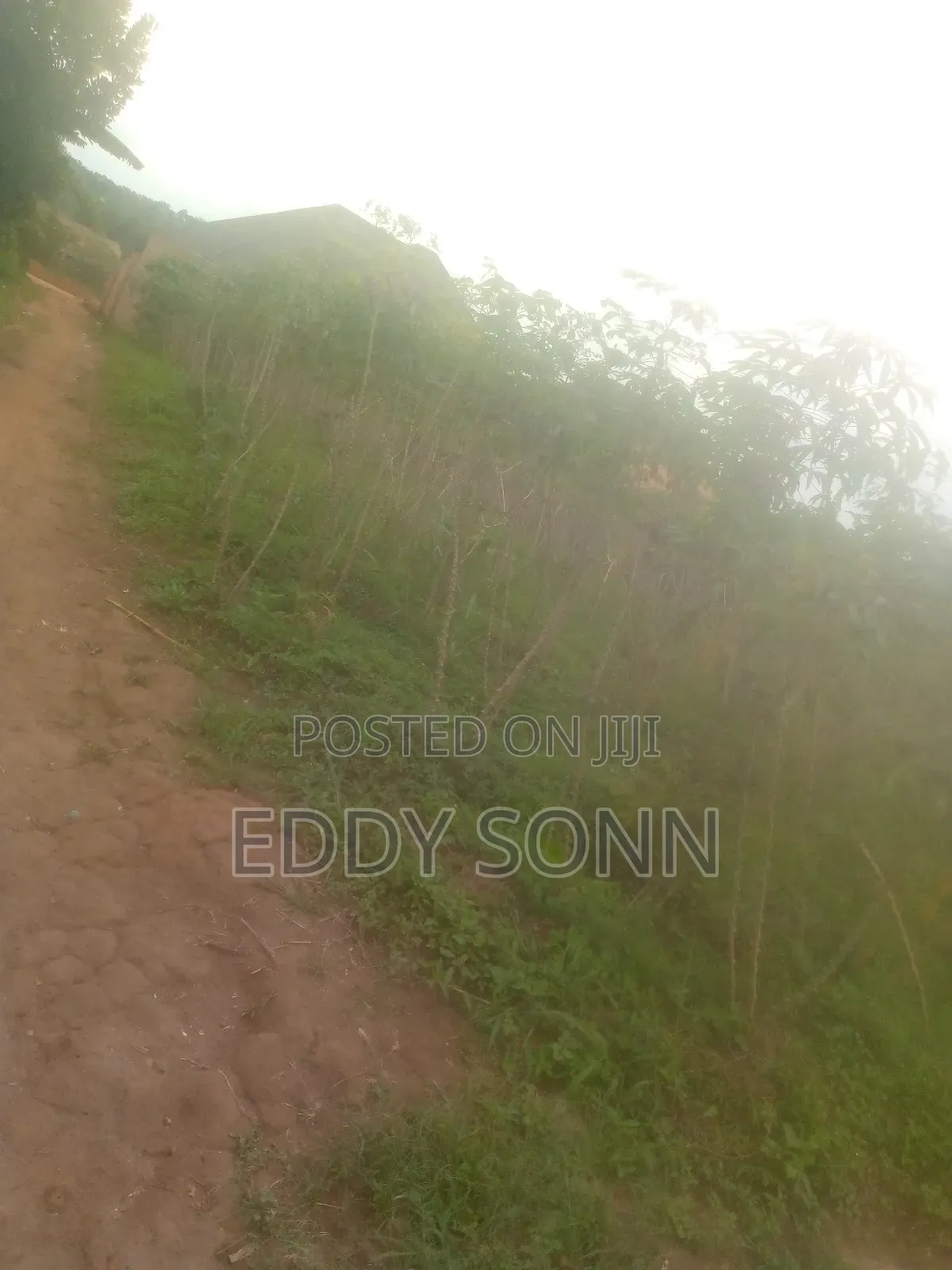 Landz an Plots for Sale