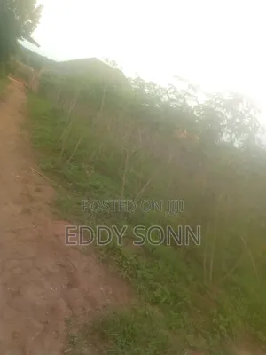 Landz an Plots for Sale
