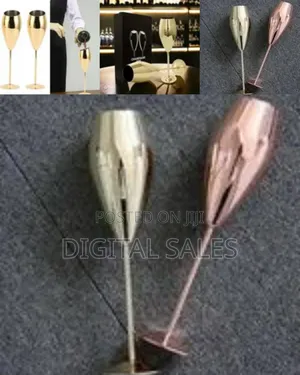 Ironable Stainless Steel Champagne Glasses, Pack of 2 Champagne