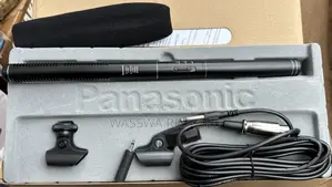 Panasonic Condenser Microphone