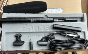 Panasonic Condenser Microphone