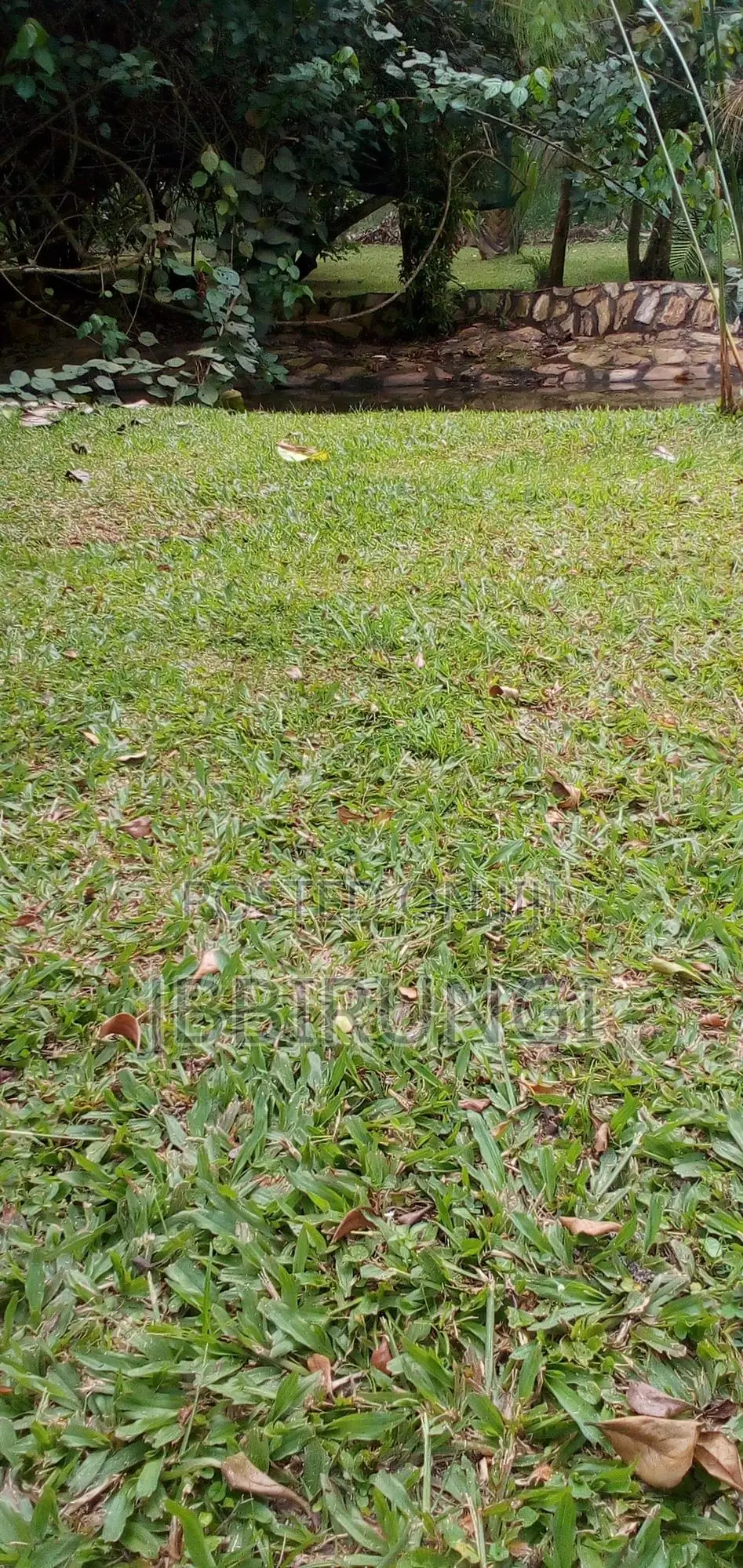 6 Acres For Sale In Njeru On Kayunga Road
