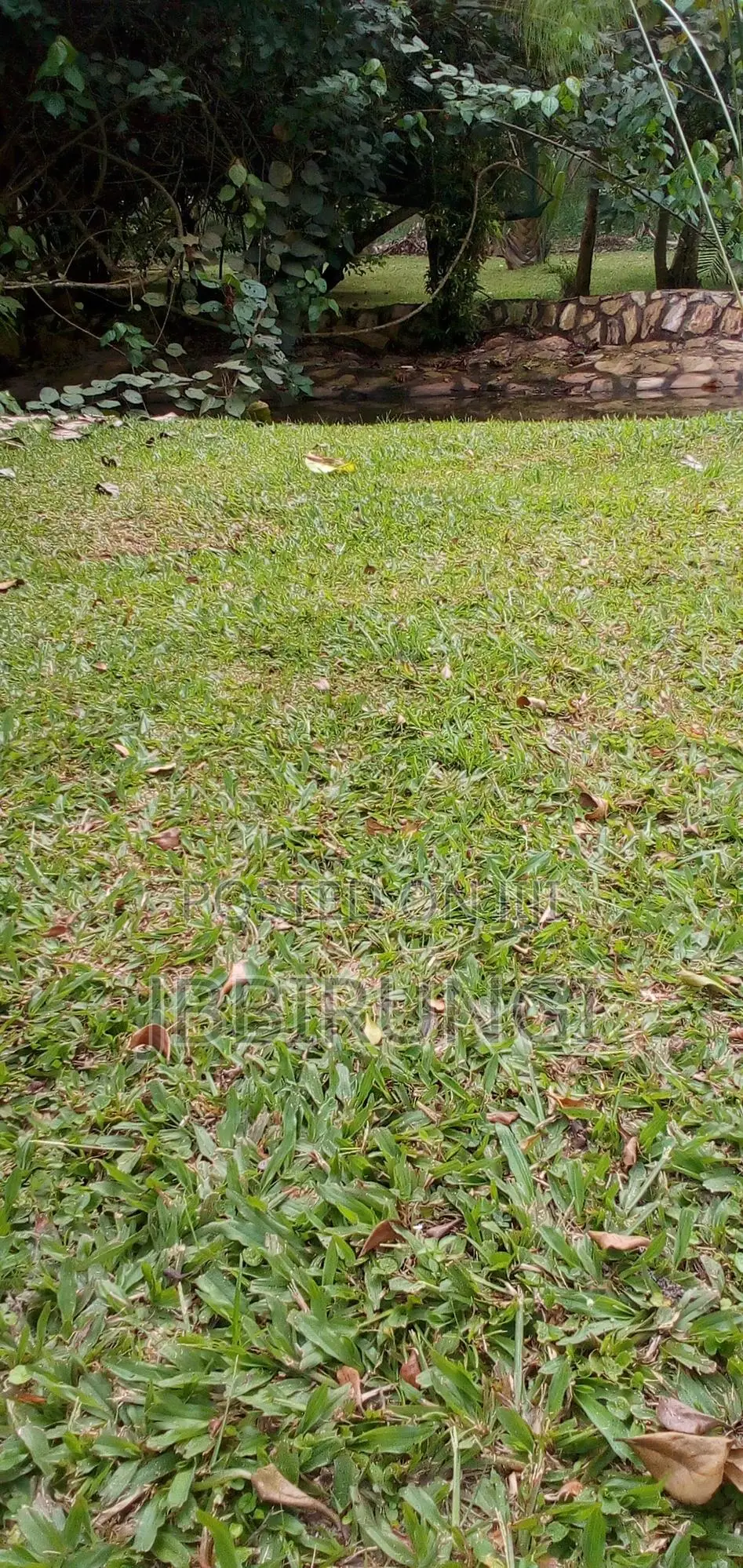 6 Acres For Sale In Njeru On Kayunga Road