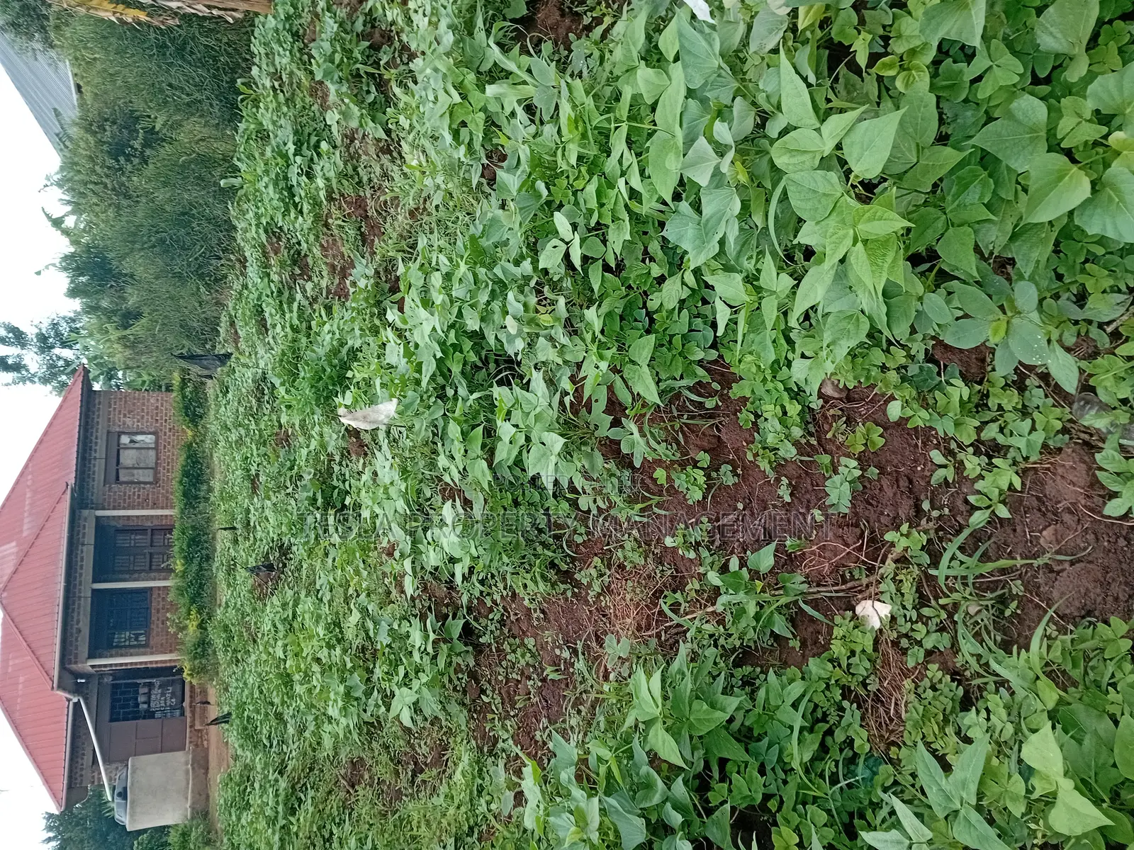 A Plot 37*80ft for Sale