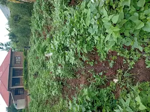 A Plot 37*80ft for Sale