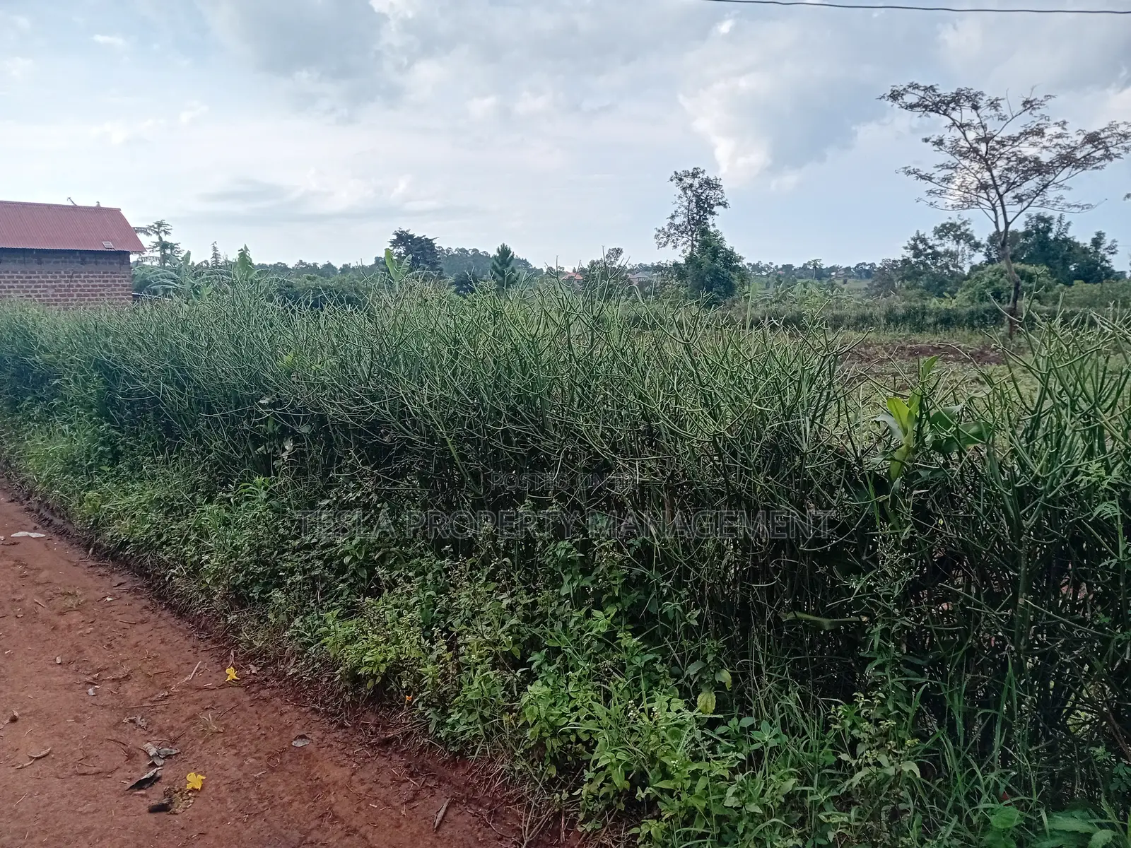 A Plot 37*80ft for Sale