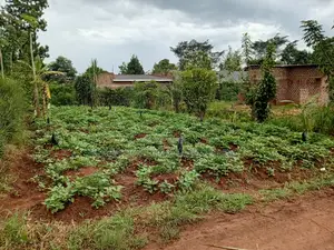 A Plot 37*80ft for Sale