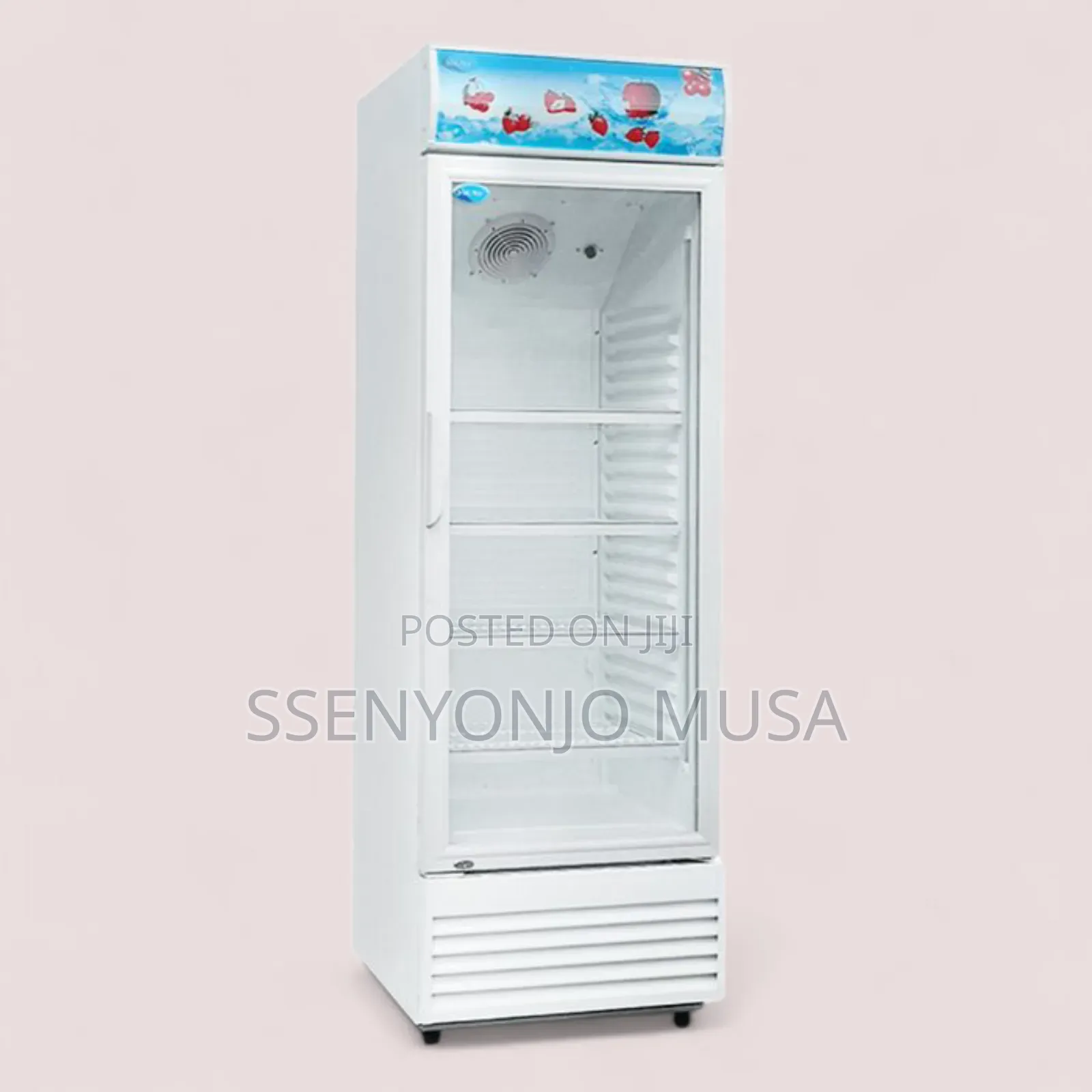 Florsa Display Chiller Business Fridge 330l - Single Door, Adjustable-