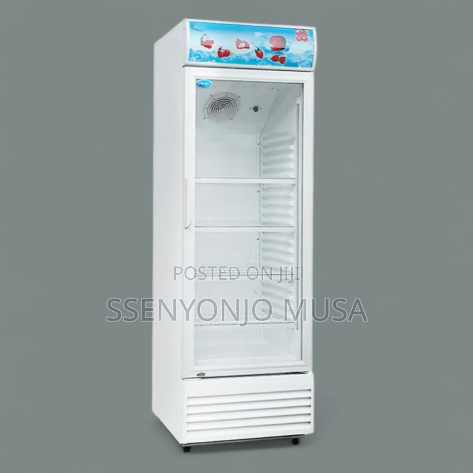 Florsa Display Chiller Business Fridge 330l - Single Door, Adjustable-