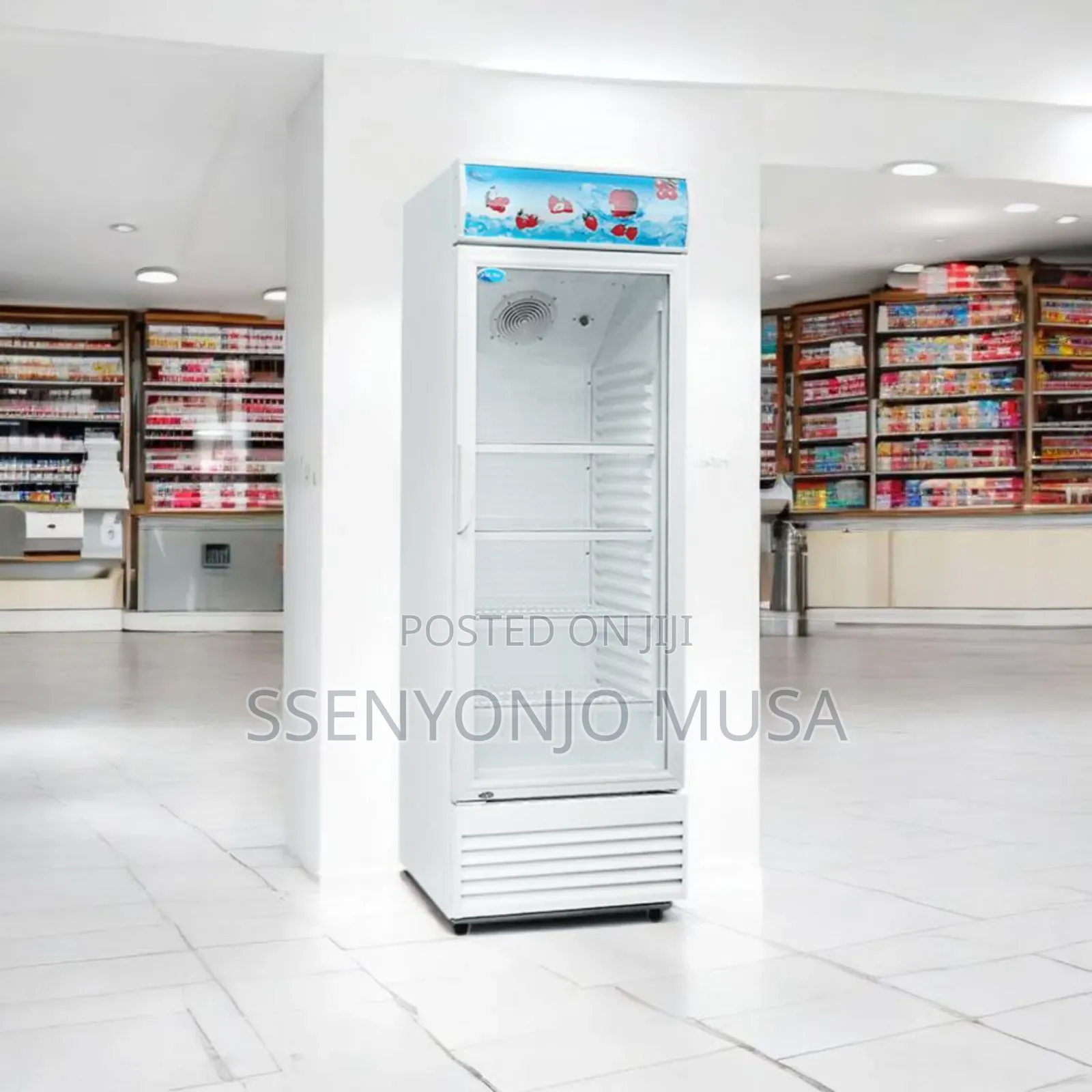 Florsa Display Chiller Business Fridge 330l - Single Door, Adjustable-