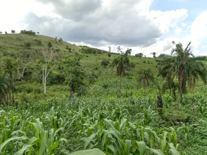 Grazing Land on Sale