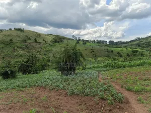 Grazing Land on Sale