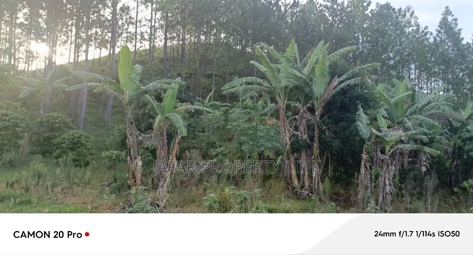 8.5 Acres Of Freehold Titled Land Sale In Fort Portal.