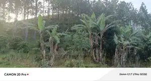 8.5 Acres Of Freehold Titled Land Sale In Fort Portal.
