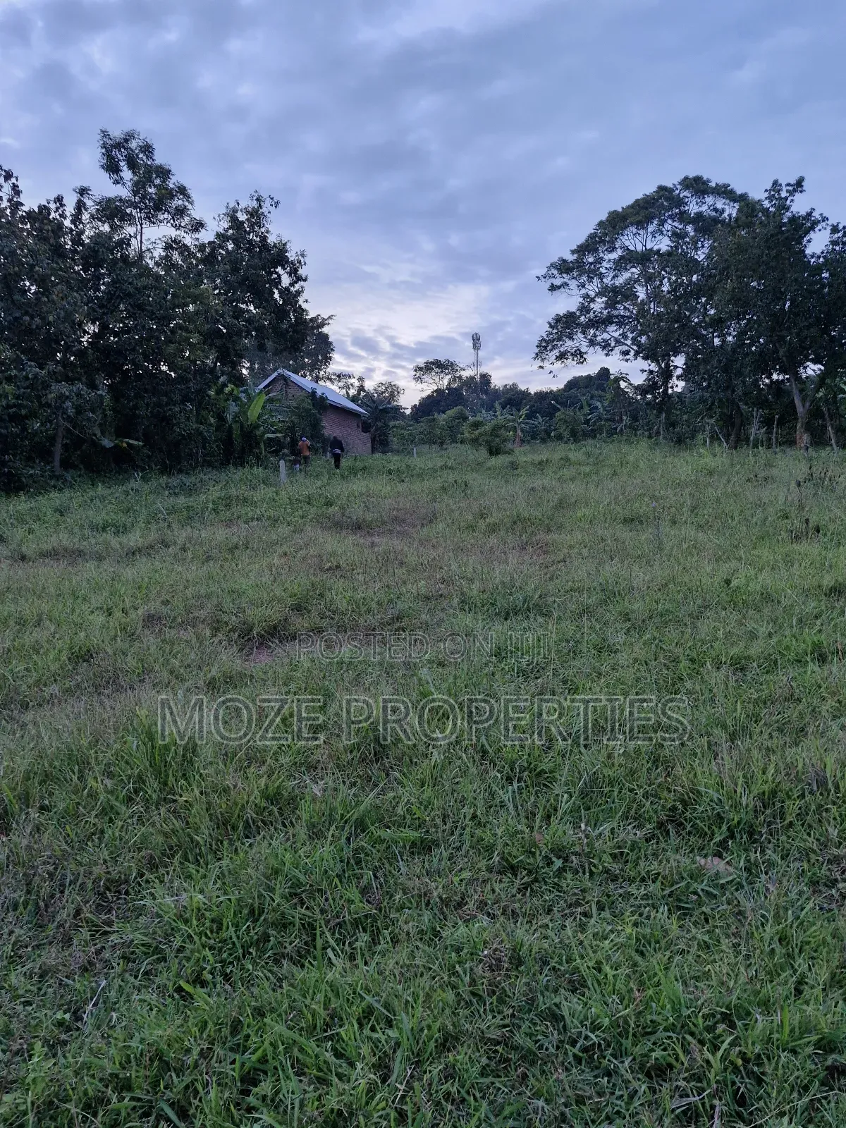 Gayaza Manyanga, New Estate 50x100 Plots for Sale