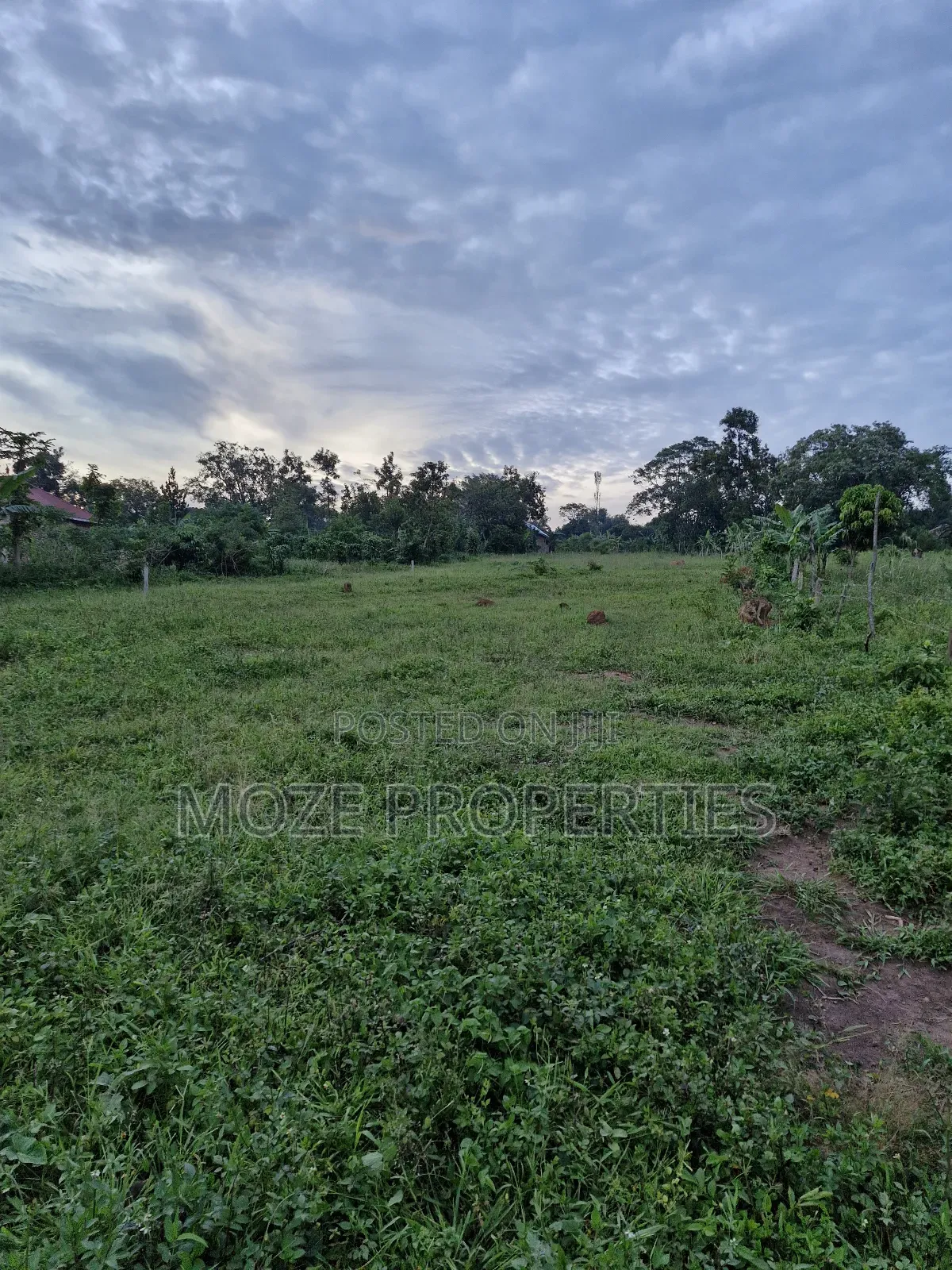 Gayaza Manyanga, New Estate 50x100 Plots for Sale