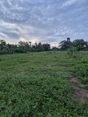 Gayaza Manyanga, New Estate 50x100 Plots for Sale