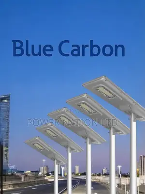 100w Blue Carbon Integrated Solar Street Light Model8010ip65