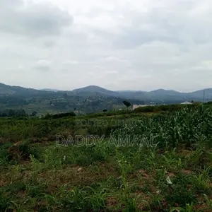 50 X 100 Gobero Kakiri