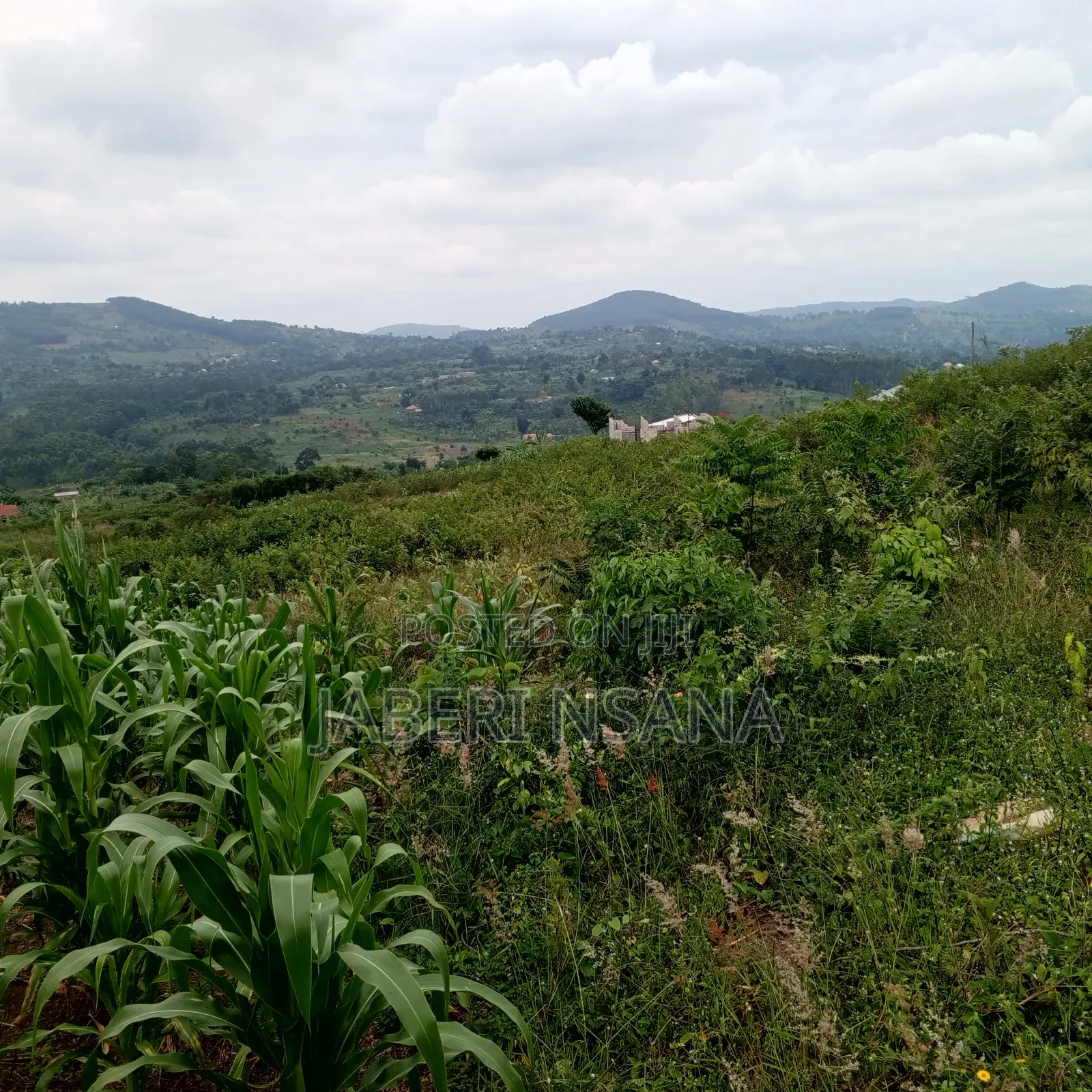 50 X 100 Gobero Kakiri
