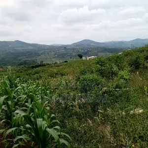 50 X 100 Gobero Kakiri
