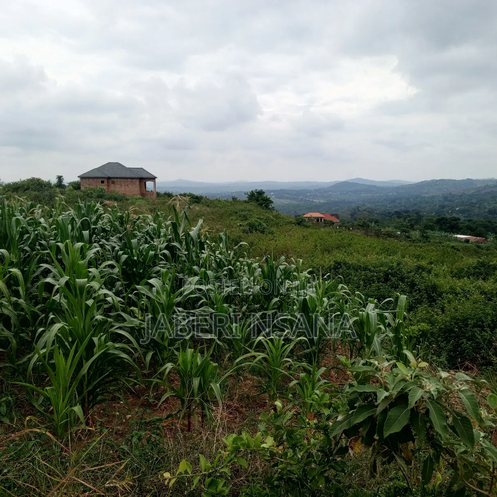 50 X 100 Gobero Kakiri