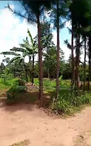 2 Acres at Kayanja Near Sugar Factory in Lugazi
