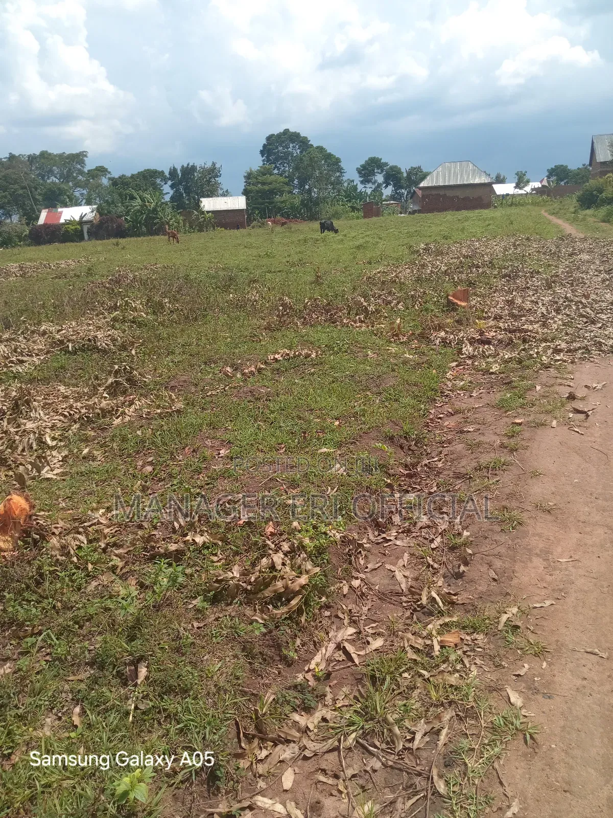 30*100fts Plot at 6m Ugx Iganga