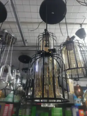 Single Pendat Ceiling Light