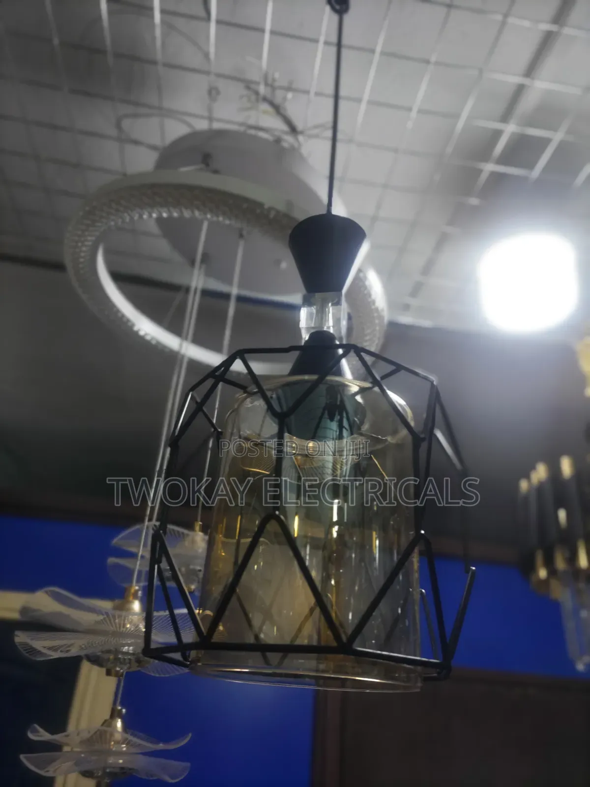 Single Pendat Ceiling Light