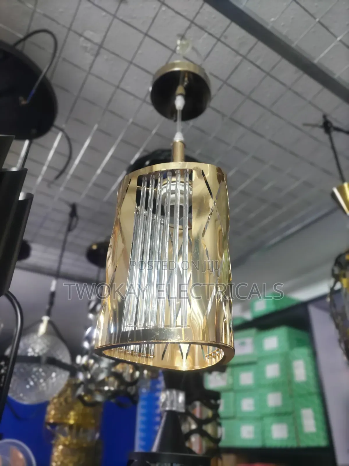 Single Pendat Ceiling Light