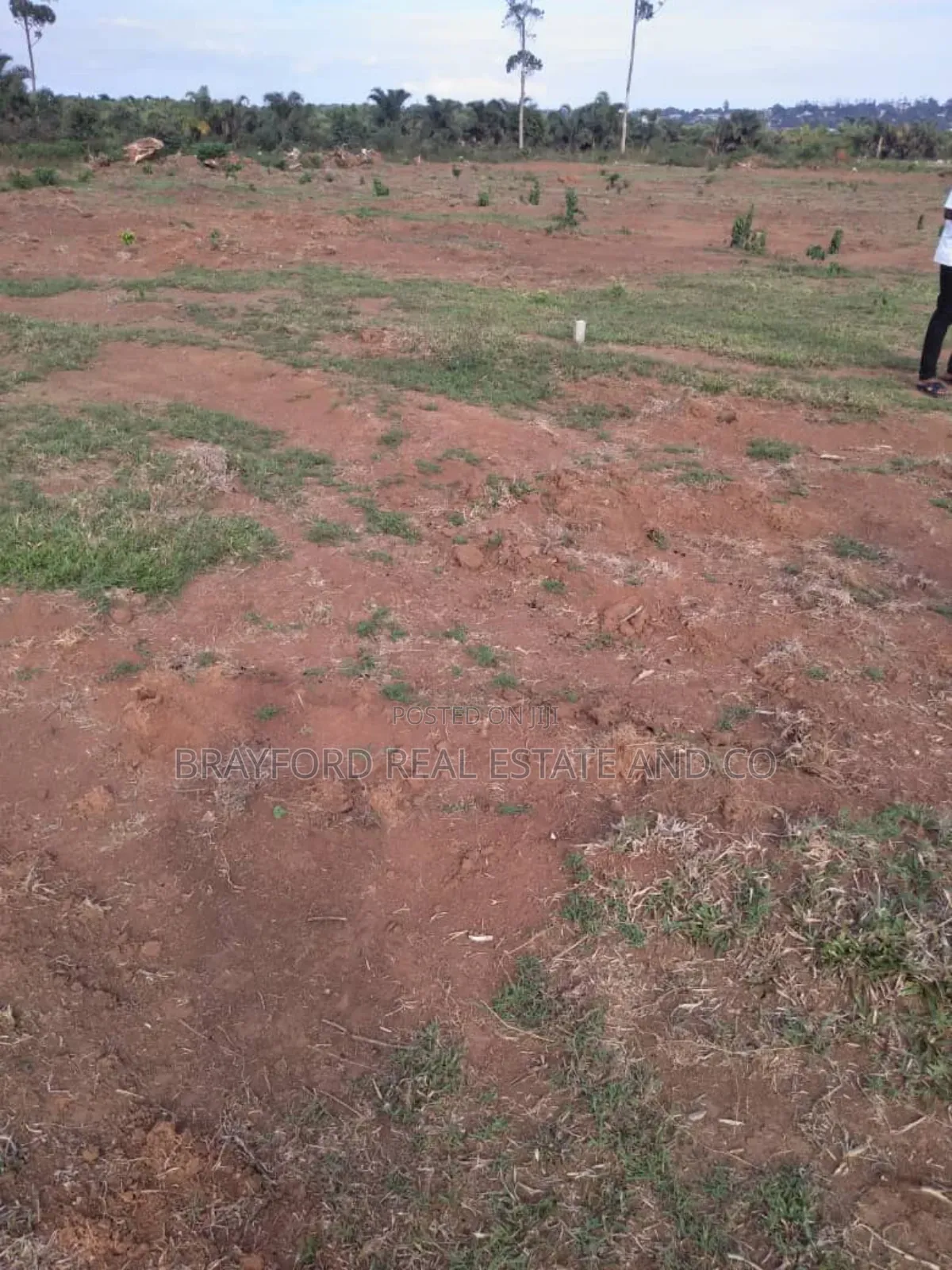 Plot for Sale