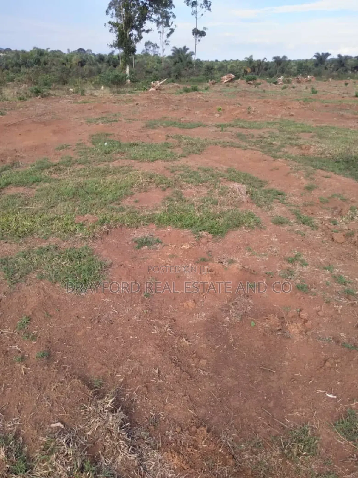 Plot for Sale