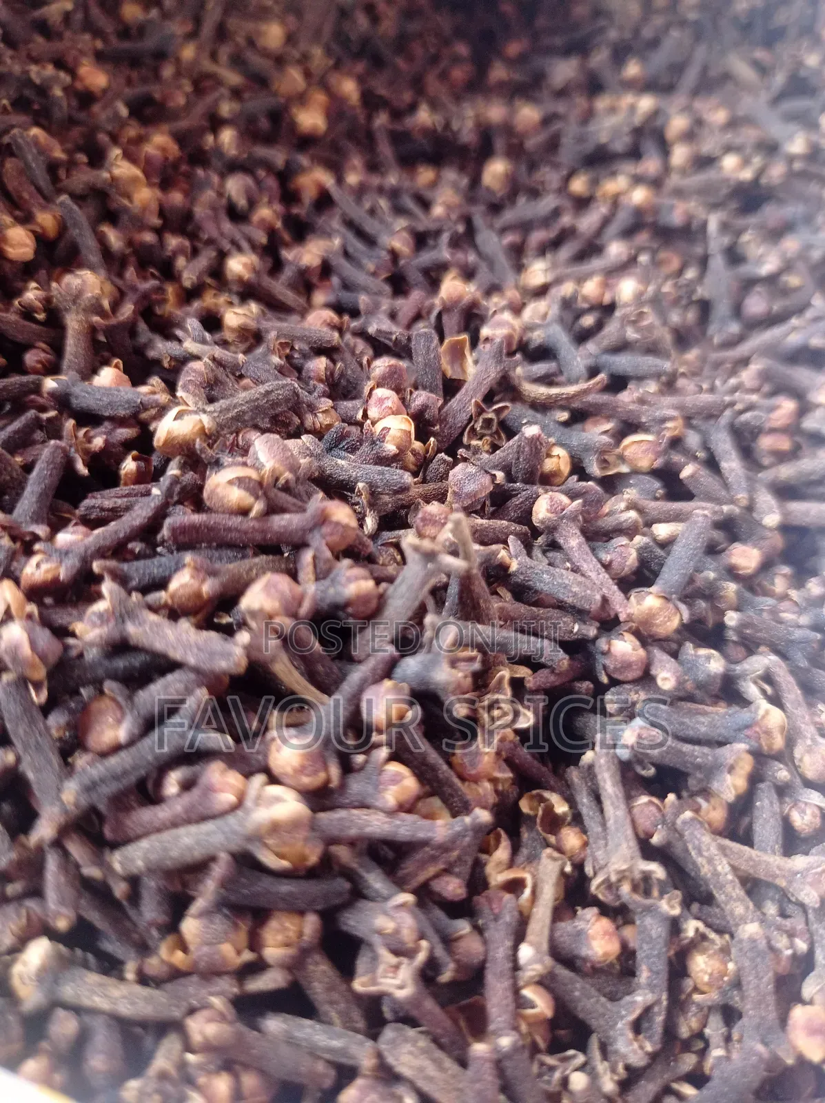 Cloves Spice and Powder