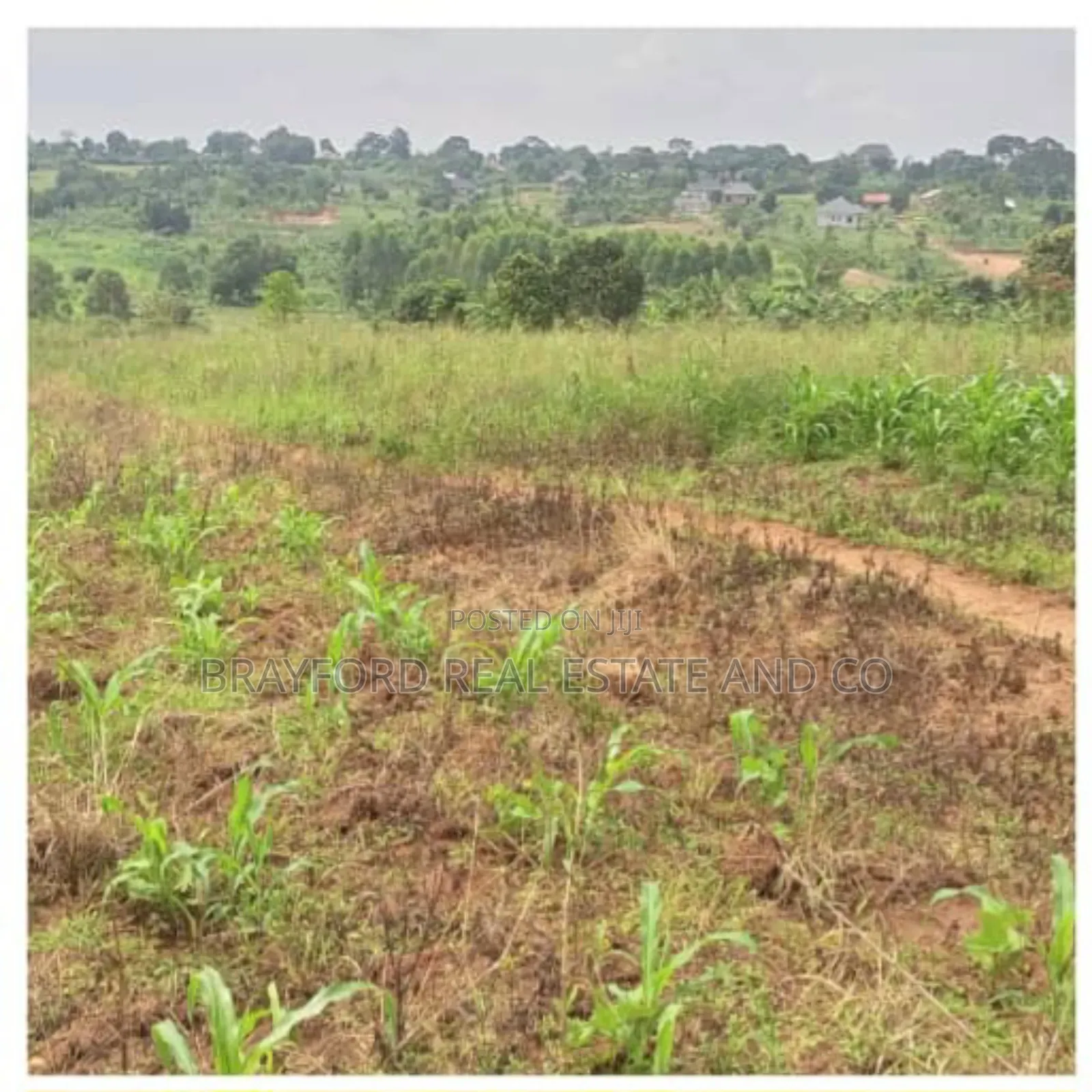 Plot for Sales