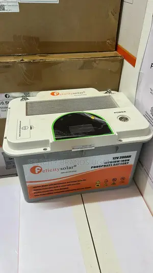 Lithium Small Battery 12v Battery Feli