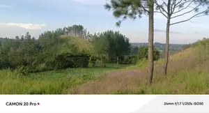 8.5 Acres Of Freehold Titled Land Sale In Fort Portal.