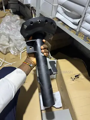 Non Electric Shock Absorbers Evoque