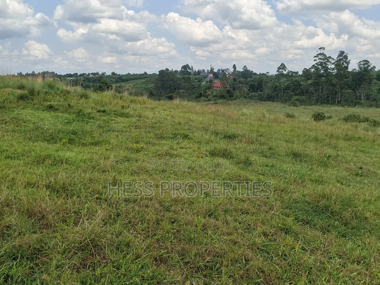 Commercial Land on Sale