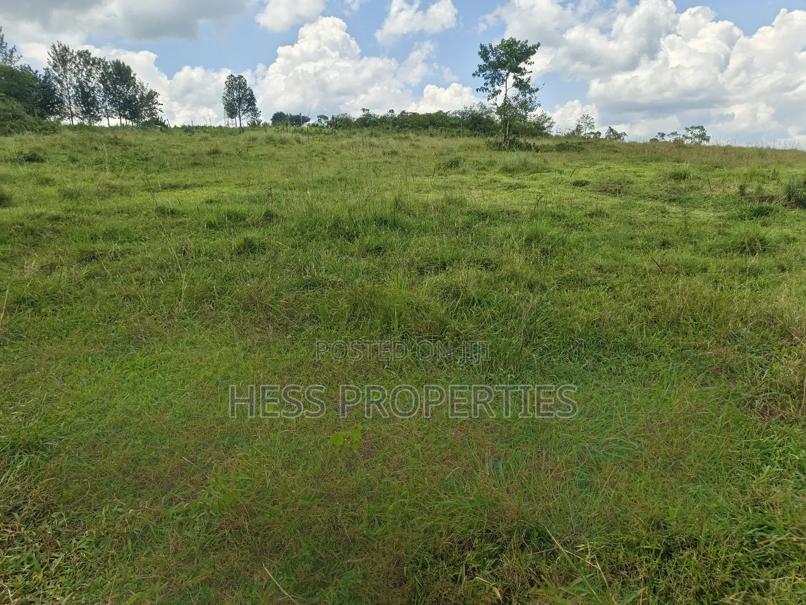 Commercial Land on Sale