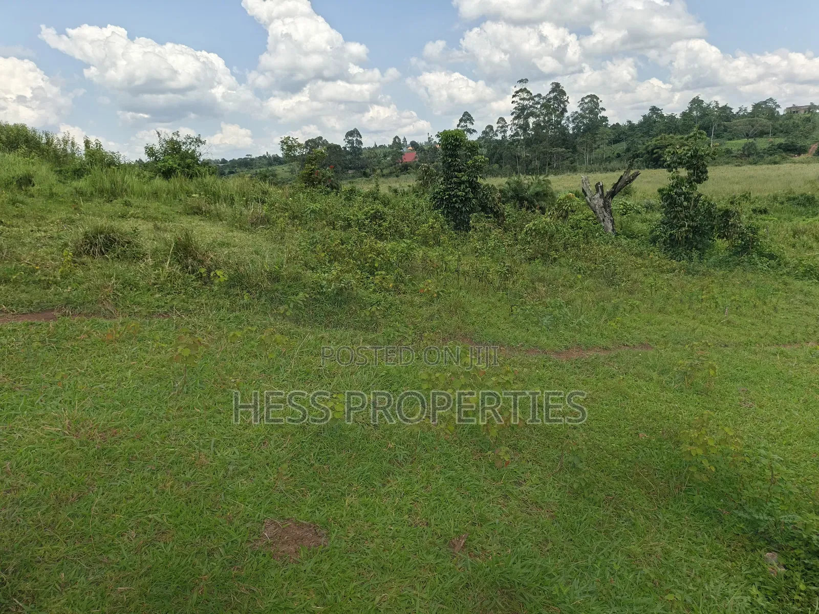 Commercial Land on Sale
