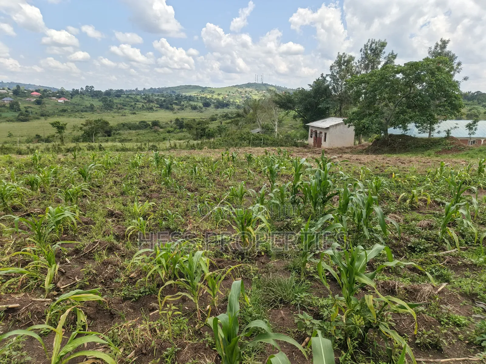 Commercial Land on Sale