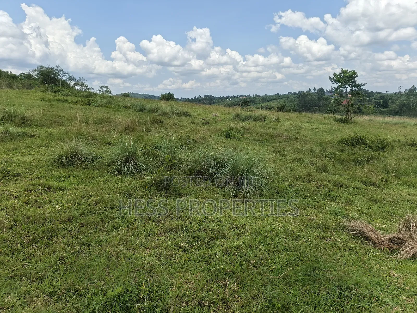 Commercial Land on Sale