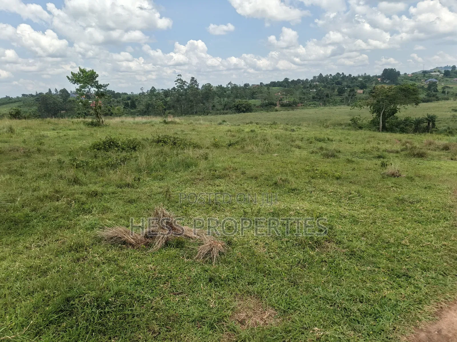 Commercial Land on Sale