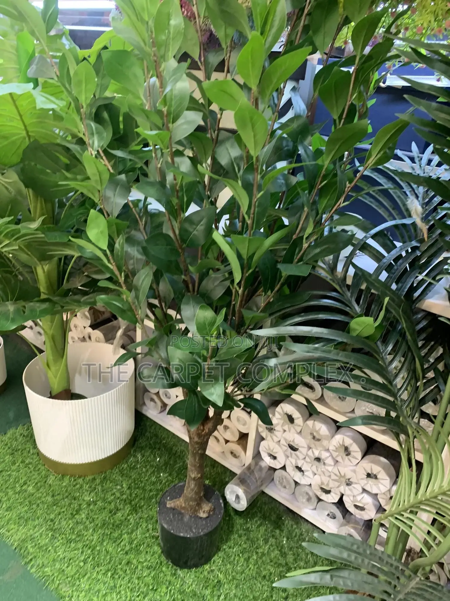 Home Plants and Pots Full Piece