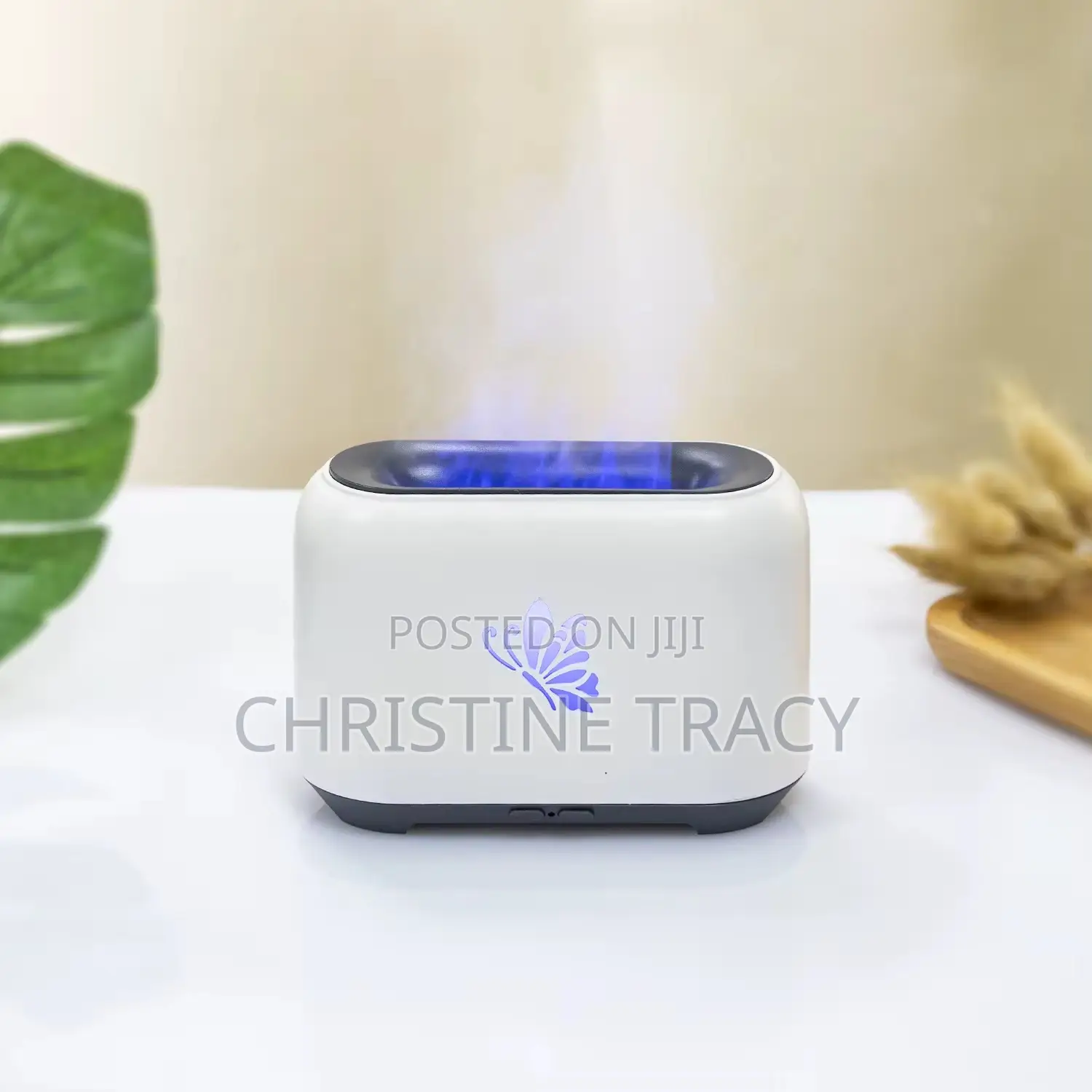 Portable Humidifier